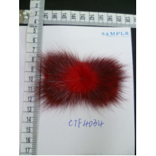 CTF4034