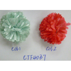 CTF4037