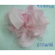 CTF4038