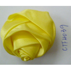 CTF4039