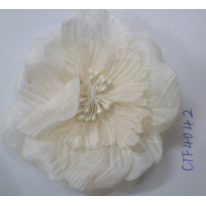 CTF4042