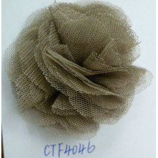 CTF4046