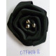 CTF4048