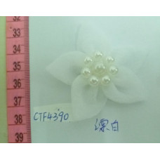 CTF4390