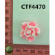 CTF4470