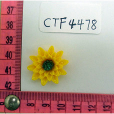 CTF4478