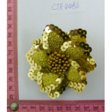 CTF4486