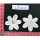 CTF4523