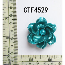 CTF4529 (2).jpg