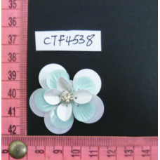 CTF4538