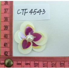 CTF4543