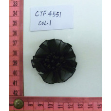 CTF4551