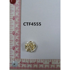 CTF4555