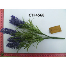 CTF4568