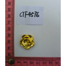 CTF4576