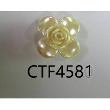 CTF4581