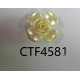 CTF4581