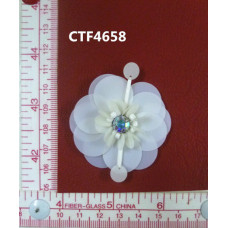 CTF4658