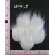 CTF4719