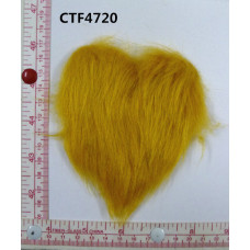 CTF4720