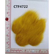 CTF4722