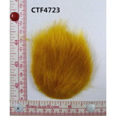 CTF4723