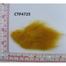 CTF4725