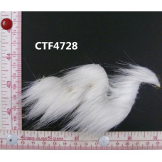 CTF4728