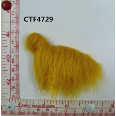 CTF4729