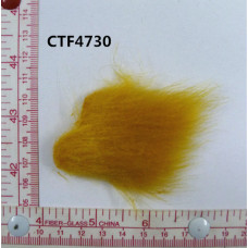 CTF4730