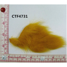 CTF4731