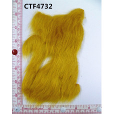 CTF4732