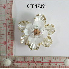 CTF4739