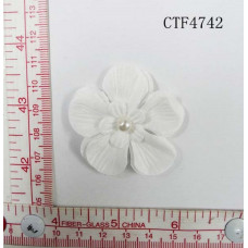 CTF4742.jpg