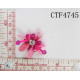 CTF4745.jpg