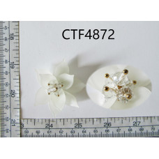 CTF4872