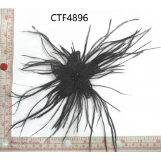 CTF4896