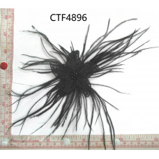 CTF4896