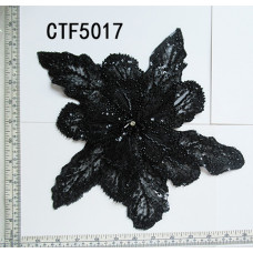 CTF5017.jpg