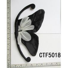 CTF5018.jpg