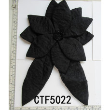 CTF5022.jpg