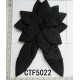 CTF5022.jpg
