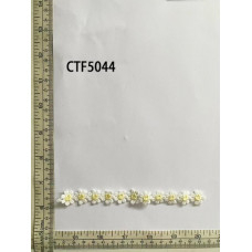 CTF5044.jpg