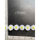CTF5045.JPG