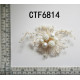 CTF6814.jpg