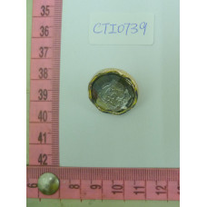 CTI0739