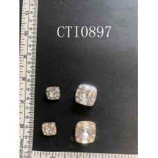 CTI0897.JPG