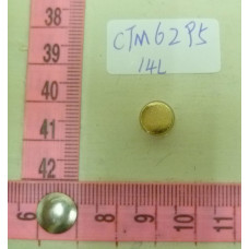 CTM6295