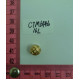 CTM6446