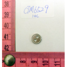 CTM6529